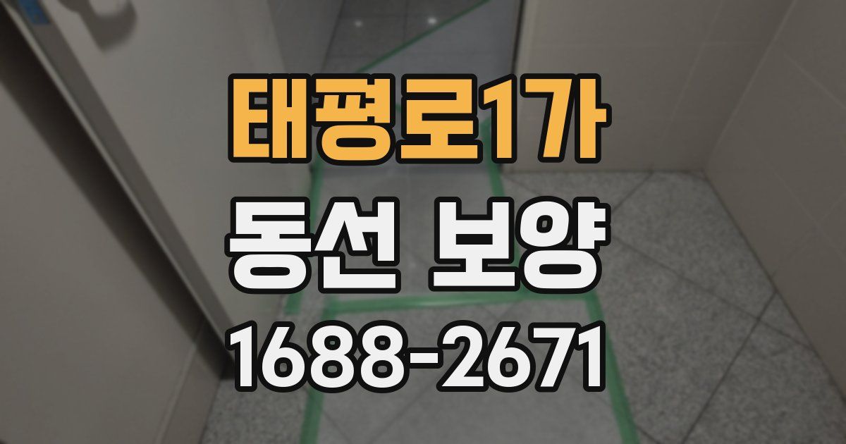 태평로1가 동선 보양