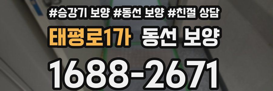 태평로1가 동선 보양