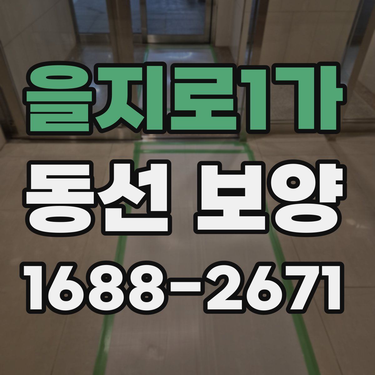 을지로1가 동선 보양