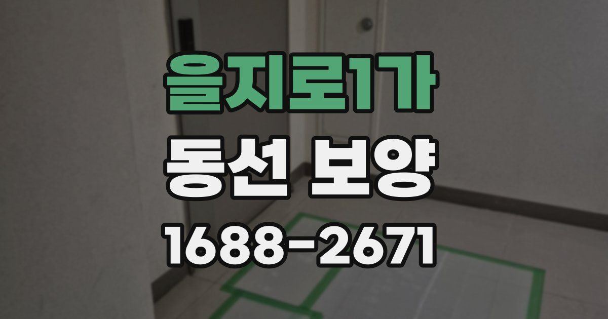 을지로1가 동선 보양