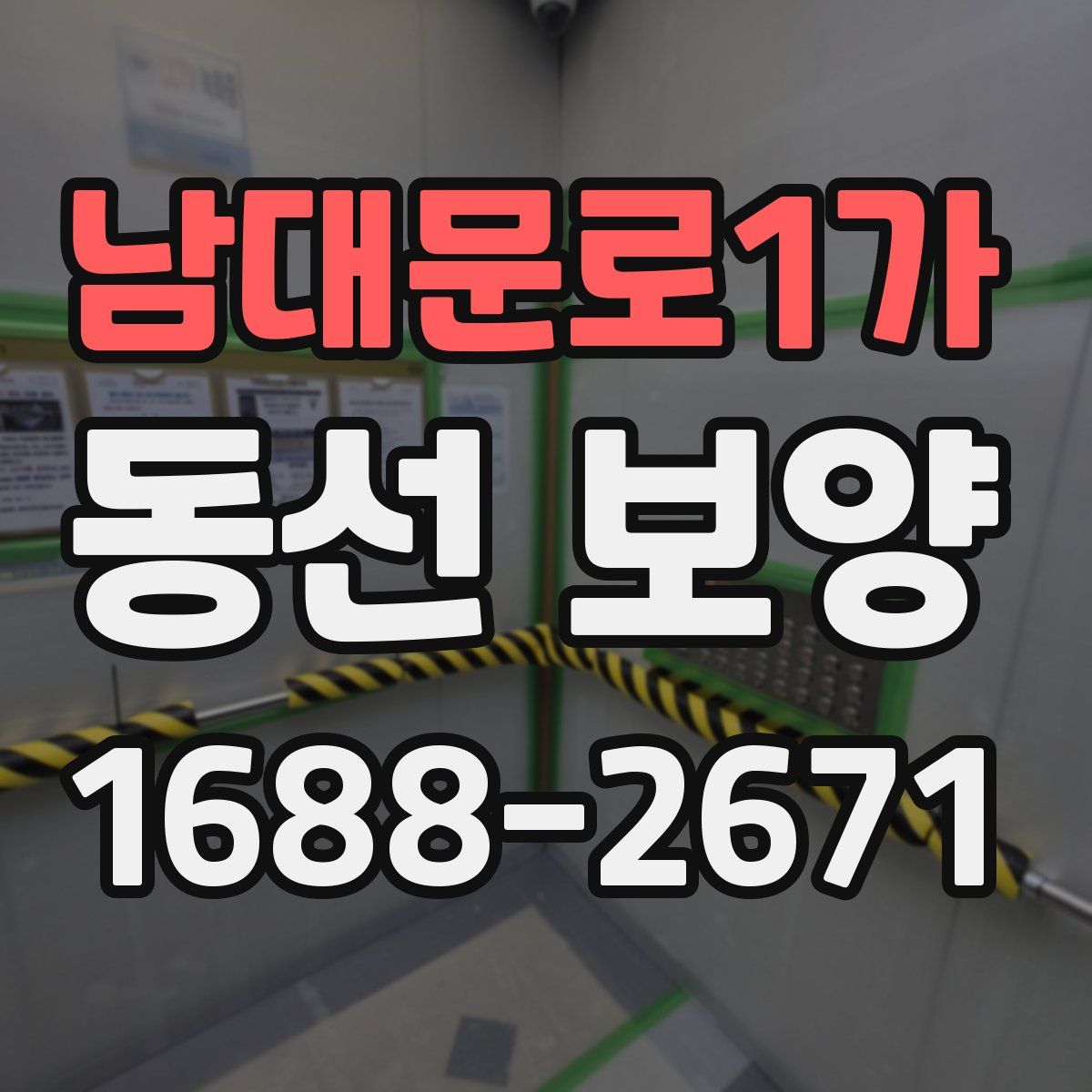 남대문로1가 동선 보양