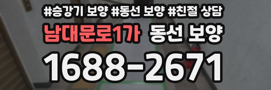 남대문로1가 동선 보양