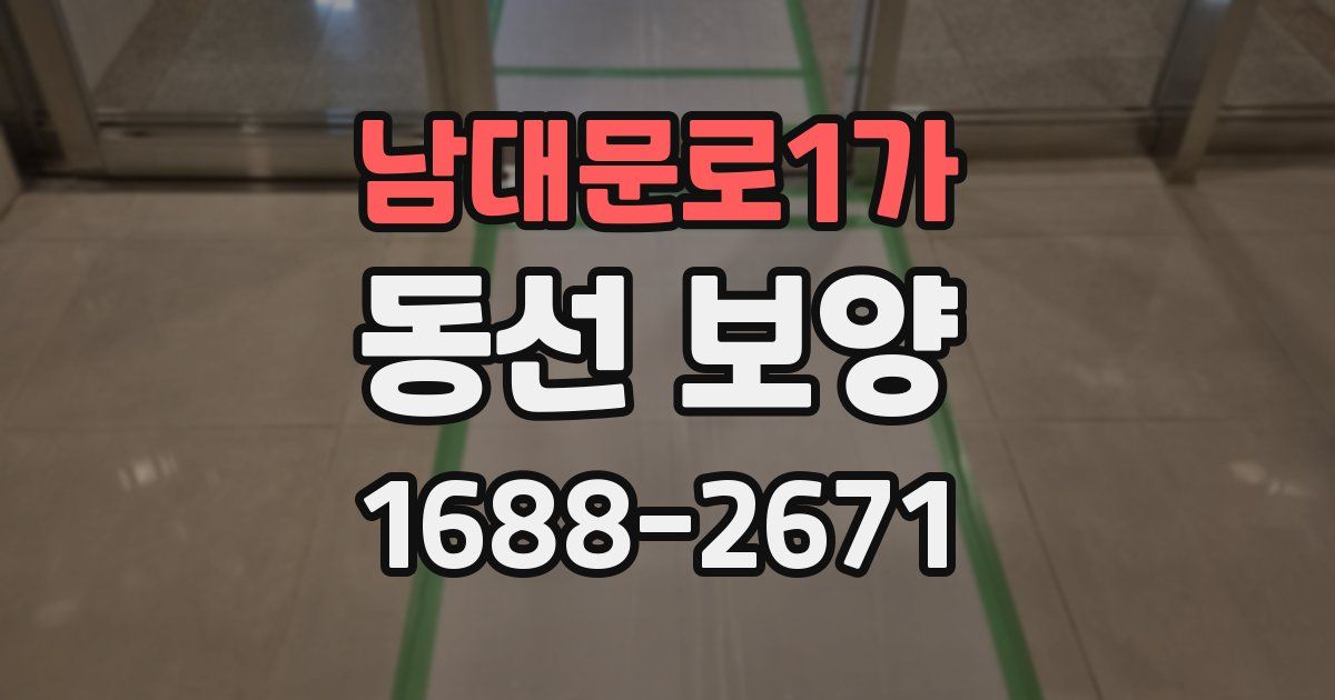 남대문로1가 동선 보양
