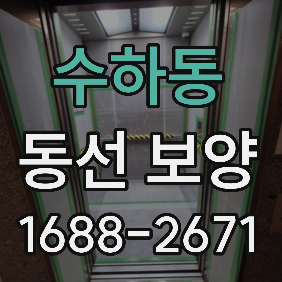 수하동 동선 보양