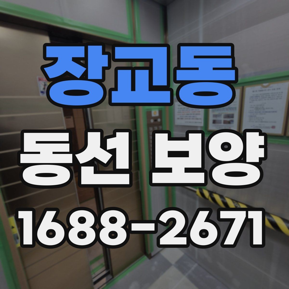 장교동 동선 보양 시 주의해야 할 안전과 동선 관리