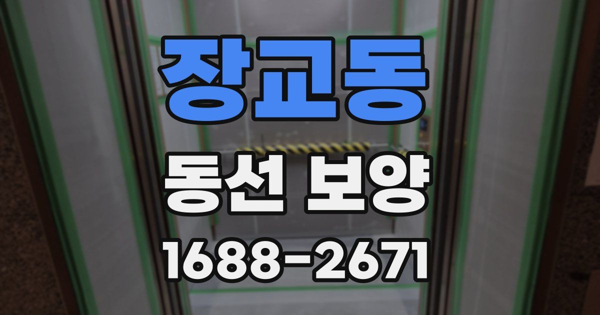 장교동 동선 보양