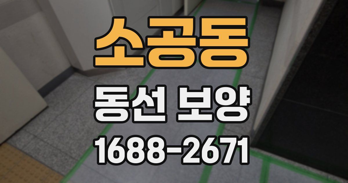 소공동 동선 보양