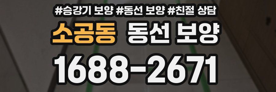 소공동 동선 보양