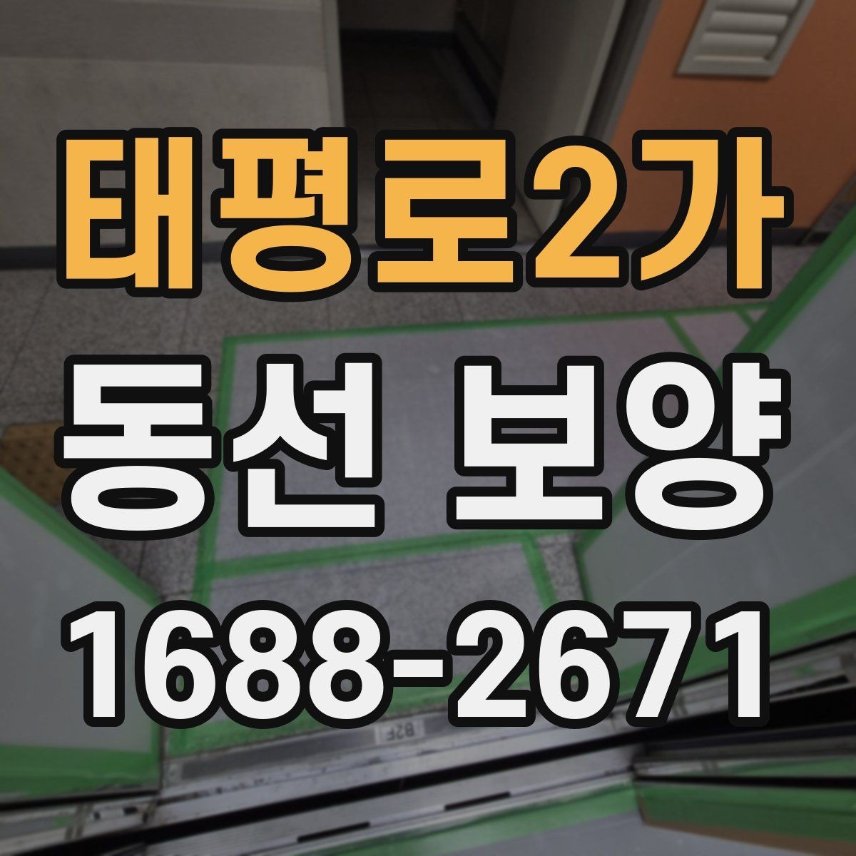 태평로2가 동선 보양 일정 잡을 때 참고할 내용
