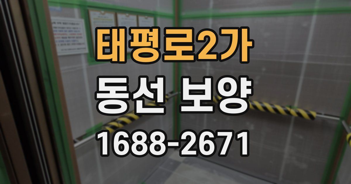 태평로2가 동선 보양