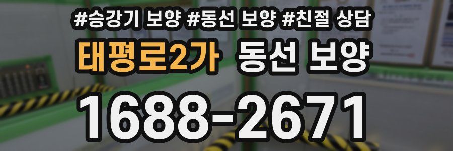 태평로2가 동선 보양