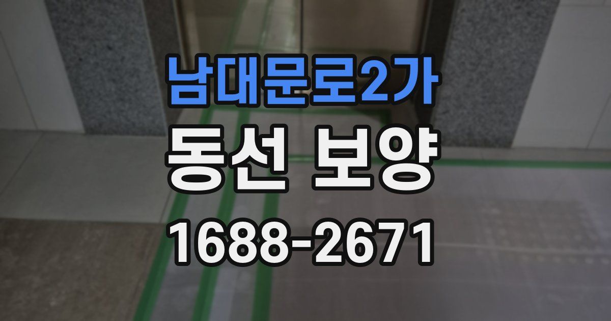 남대문로2가 동선 보양