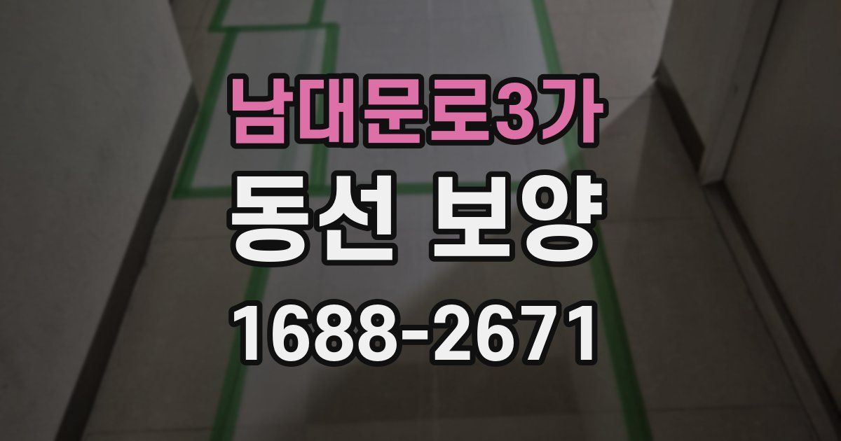 남대문로3가 동선 보양