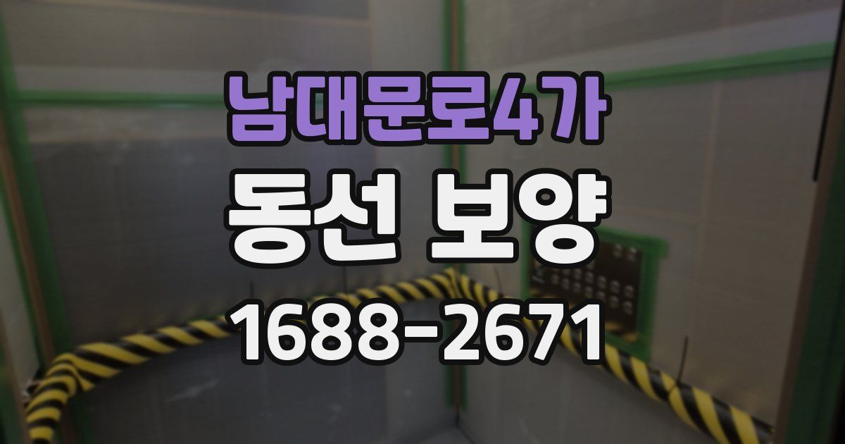 남대문로4가 동선 보양