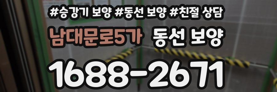남대문로5가 동선 보양