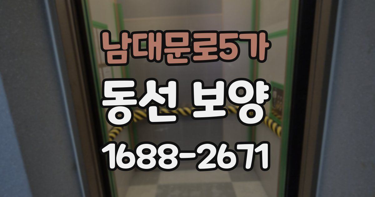남대문로5가 동선 보양