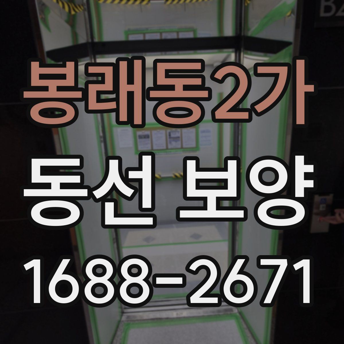 봉래동2가 동선 보양 현장에서 주의할 점 정리