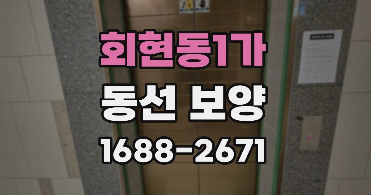 회현동1가 동선 보양