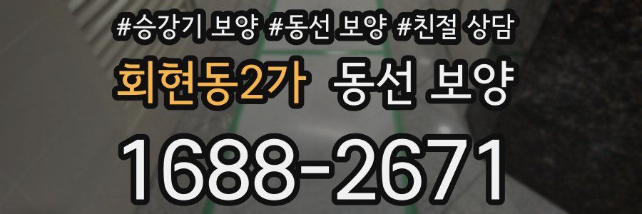 회현동2가 동선 보양