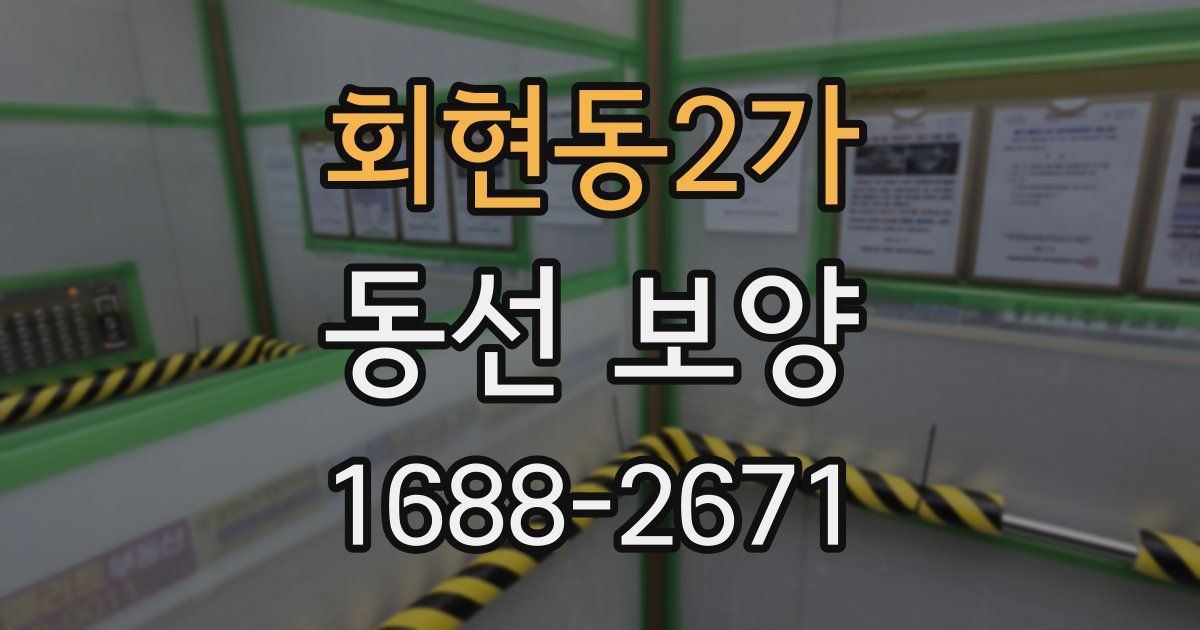 회현동2가 동선 보양