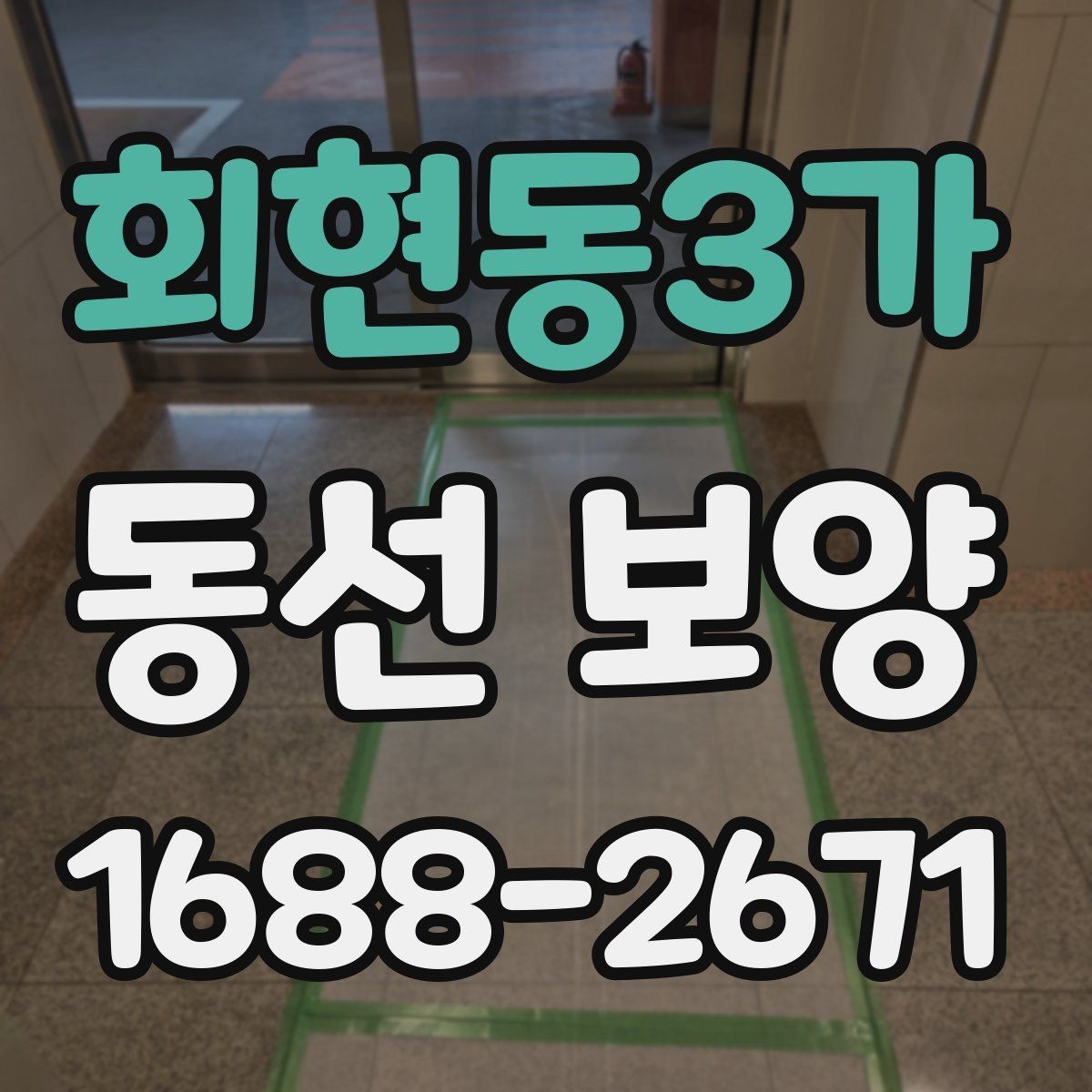 회현동3가 동선 보양 관련 문의 전 준비하면 좋은 정보