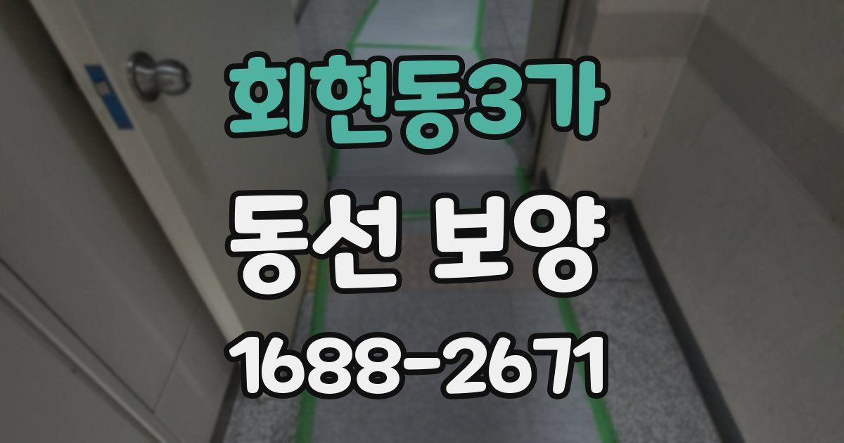 회현동3가 동선 보양
