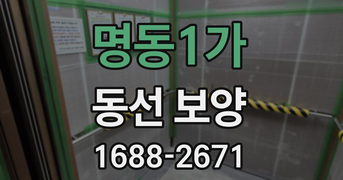 명동1가 동선 보양