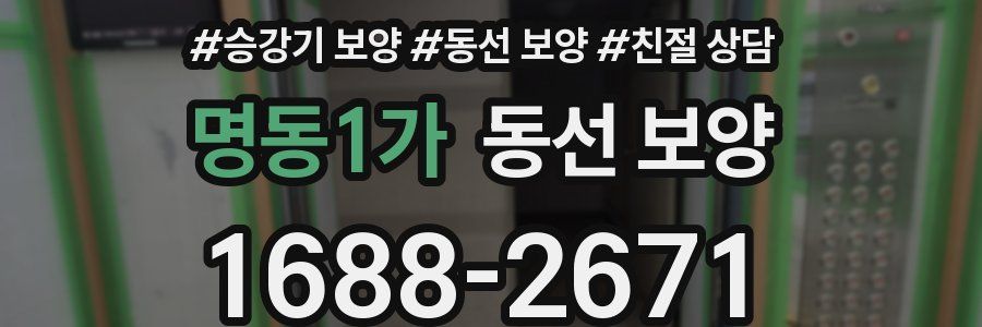 명동1가 동선 보양