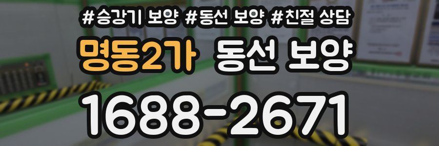 명동2가 동선 보양