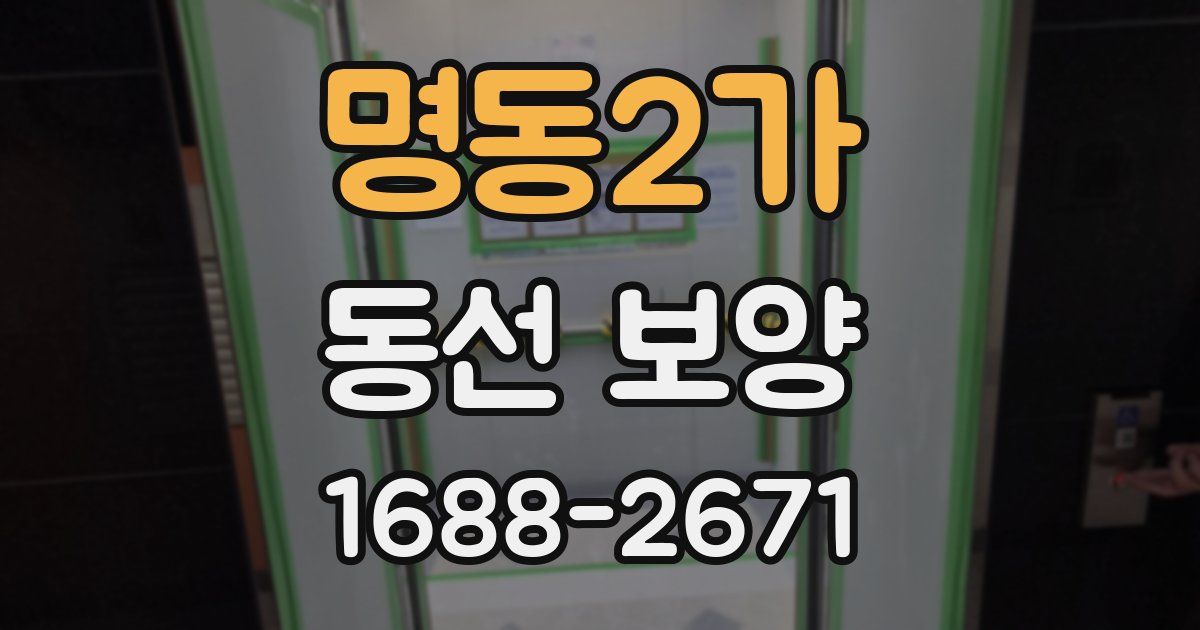 명동2가 동선 보양