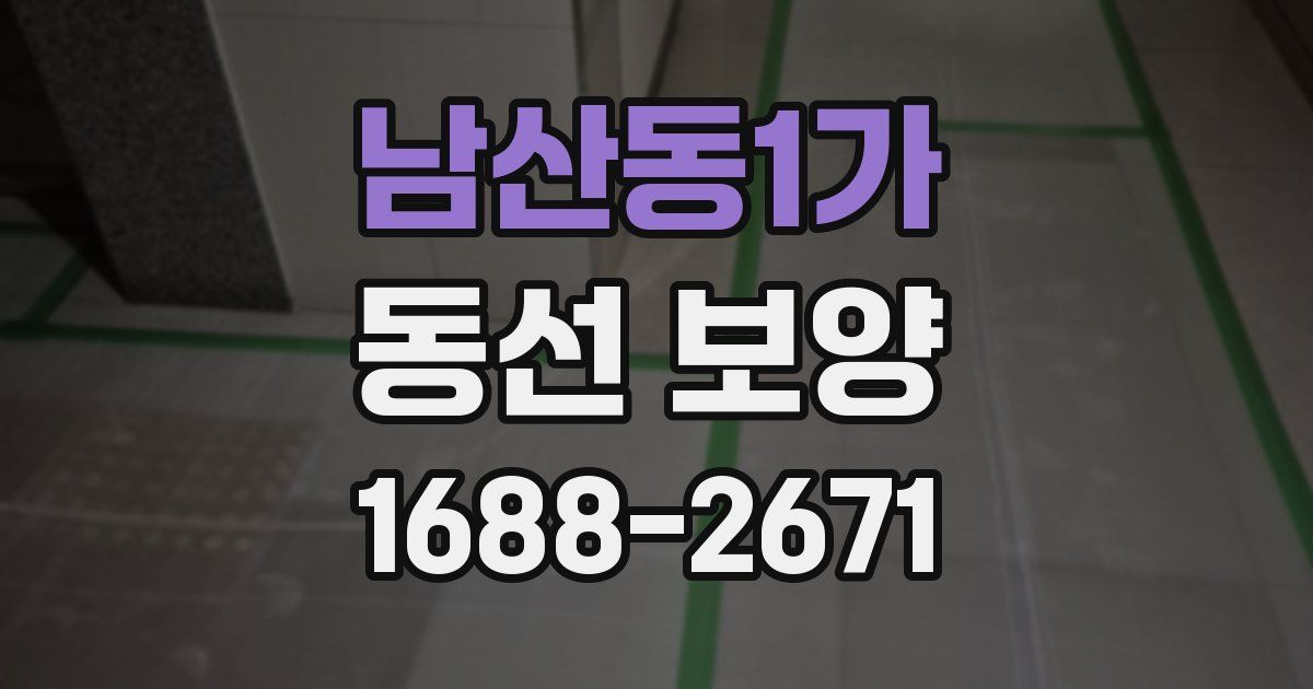 남산동1가 동선 보양