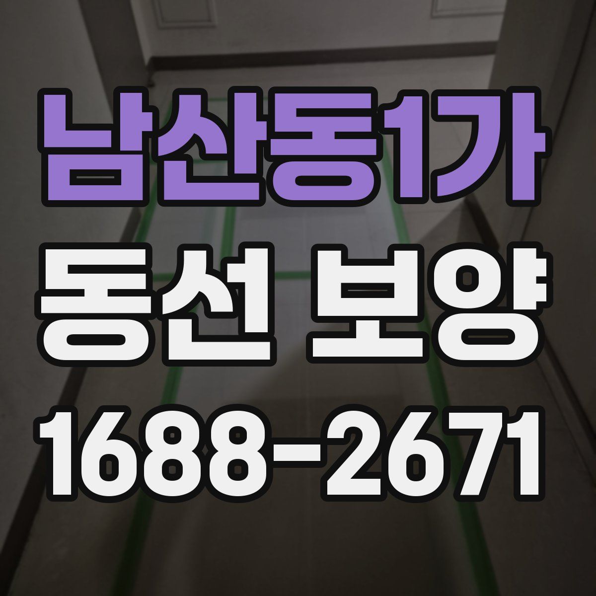 남산동1가 동선 보양