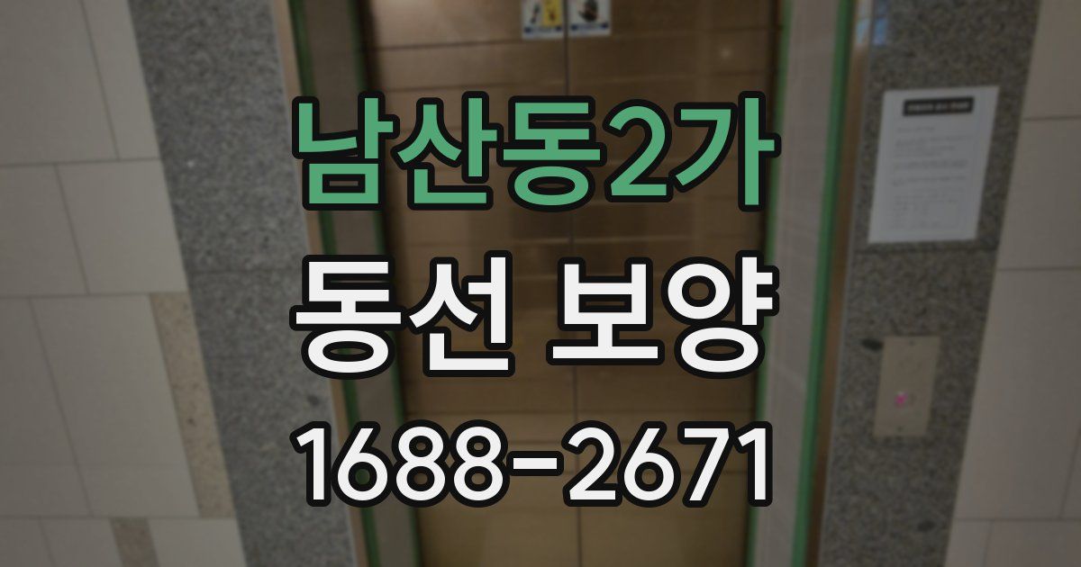 남산동2가 동선 보양