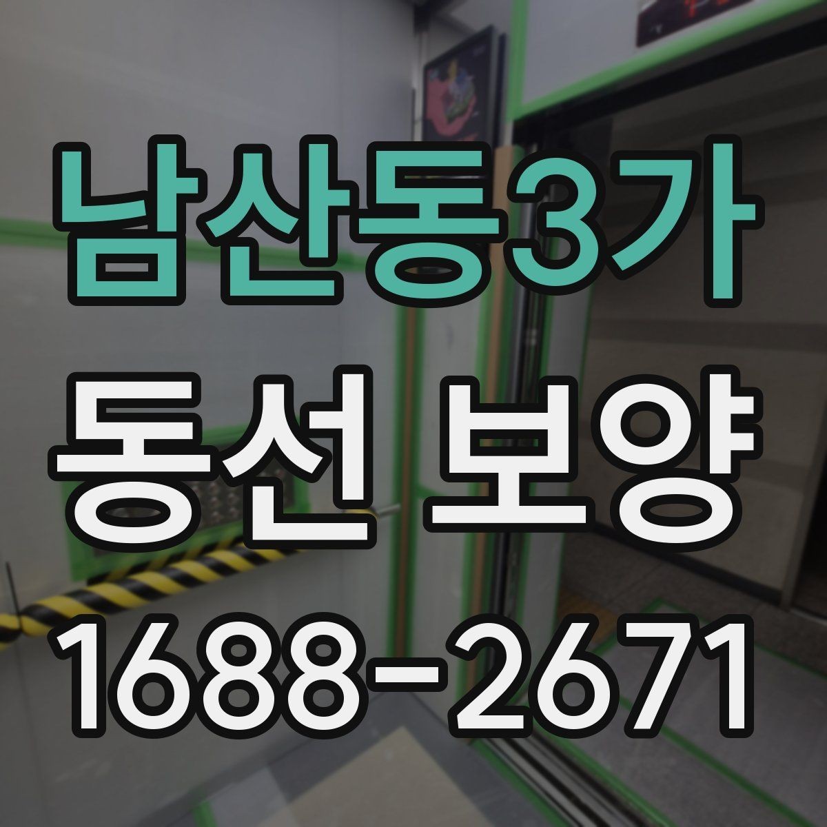 남산동3가 동선 보양 작업 시간은 어떻게 정해질까