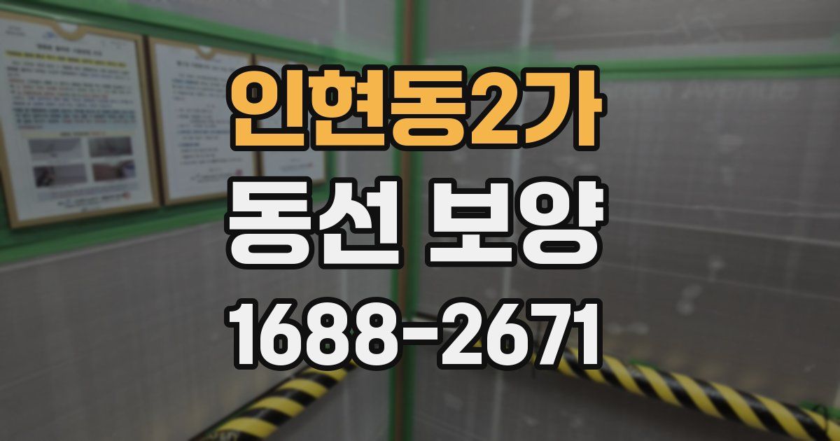 인현동2가 동선 보양