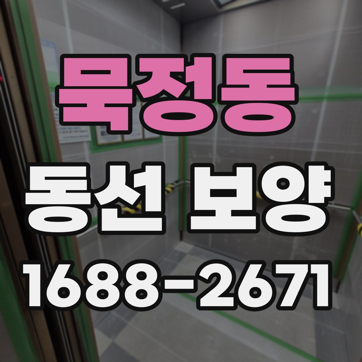 묵정동 동선 보양