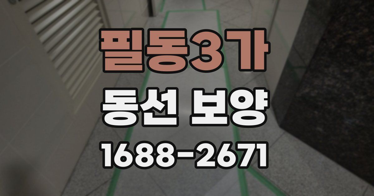 필동3가 동선 보양