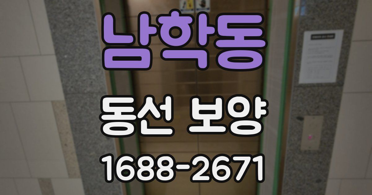 남학동 동선 보양
