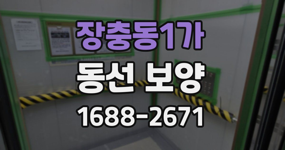 장충동1가 동선 보양