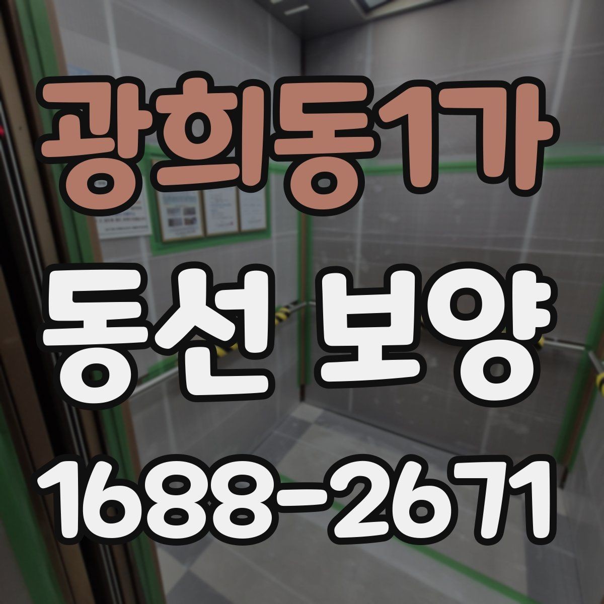 광희동1가 동선 보양 공정에서 누락하기 쉬운 단계