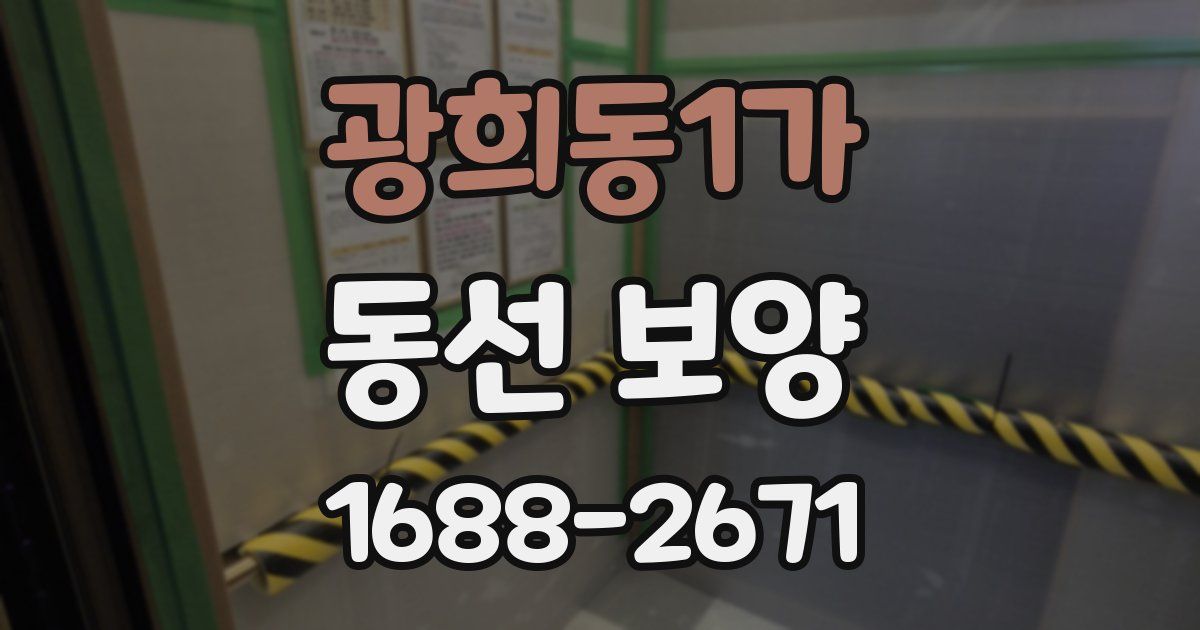 광희동1가 동선 보양