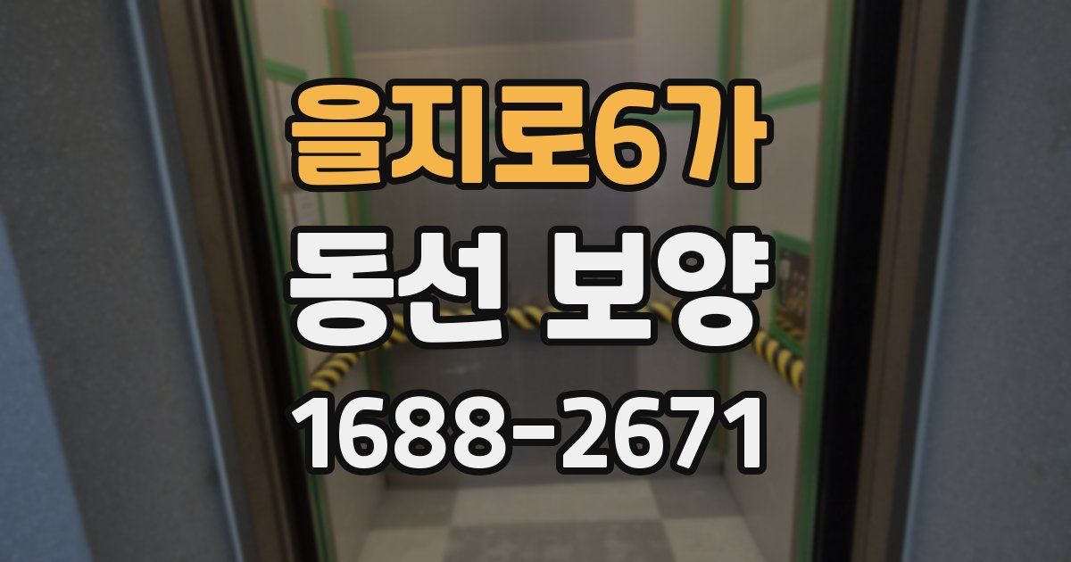 을지로6가 동선 보양