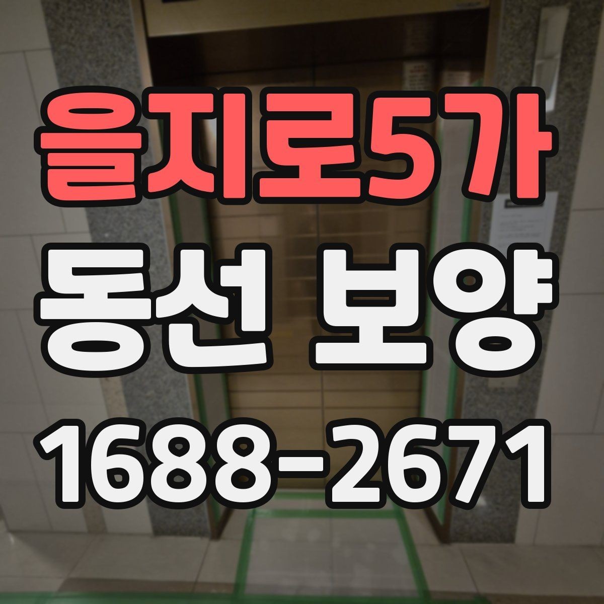 을지로5가 동선 보양 비용을 줄이기 위한 선택 기준