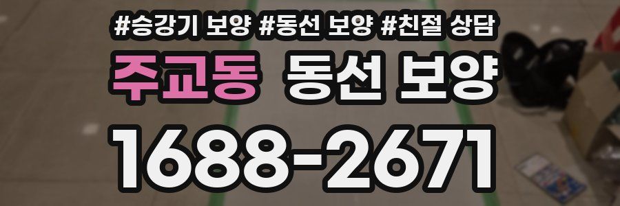 주교동 동선 보양
