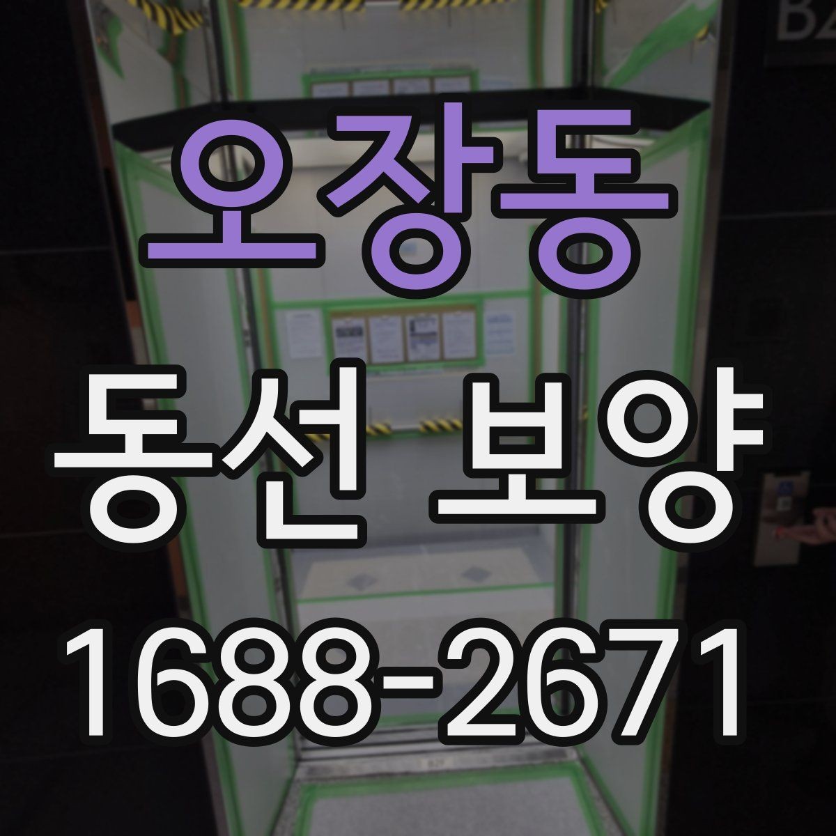 오장동 동선 보양 범위와 업무 흐름 알아보기