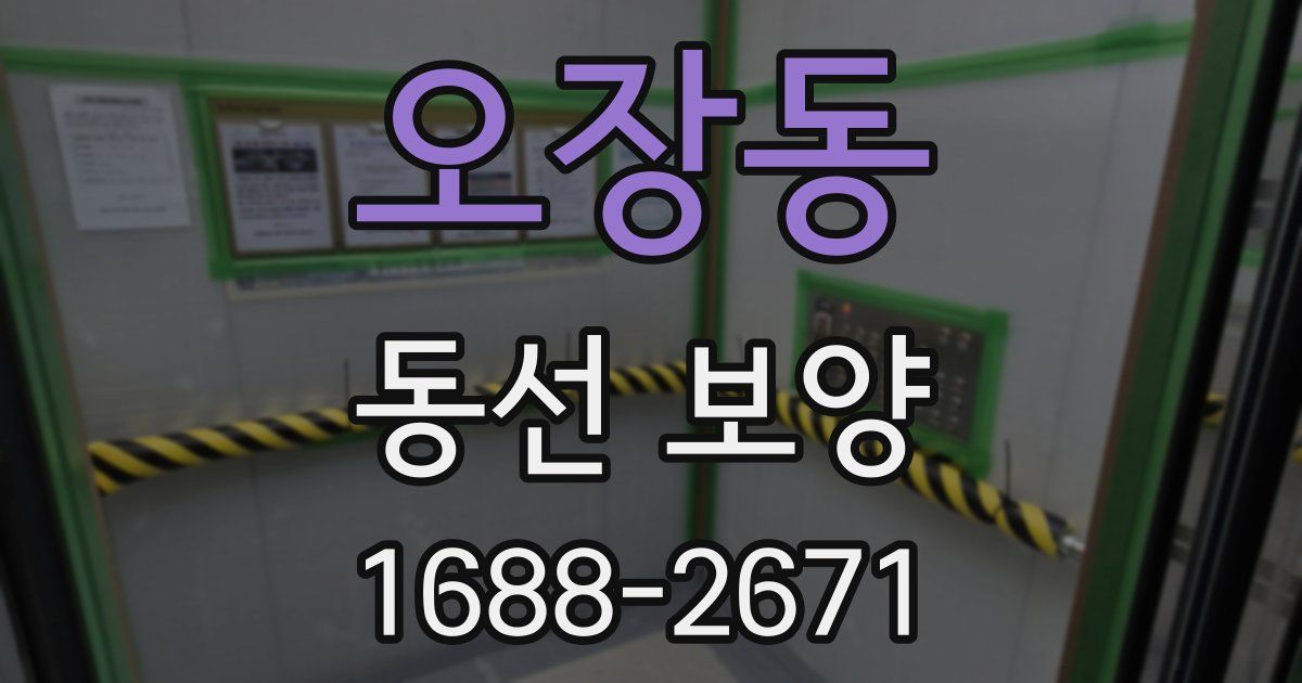 오장동 동선 보양
