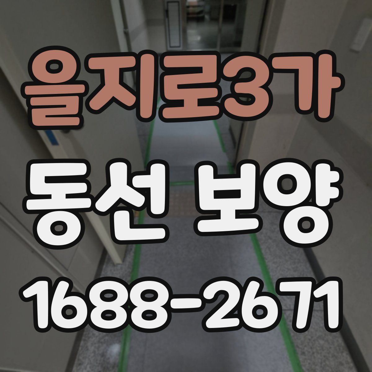 을지로3가 동선 보양