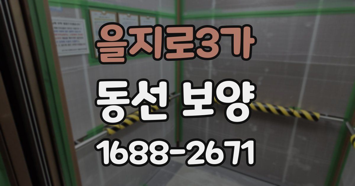 을지로3가 동선 보양