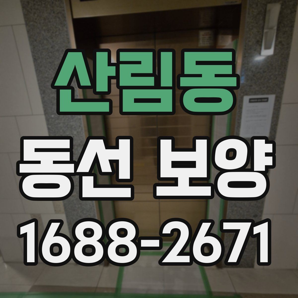 산림동 동선 보양 시 흔히 놓치는 부분들