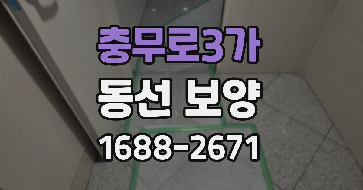 충무로3가 동선 보양